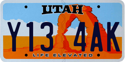 UT license plate Y134AK