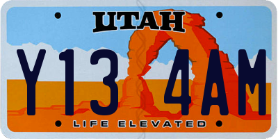 UT license plate Y134AM