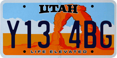 UT license plate Y134BG