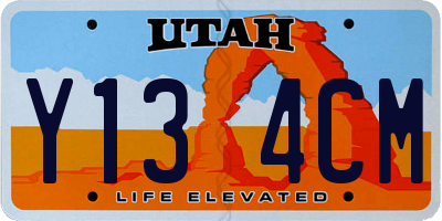 UT license plate Y134CM