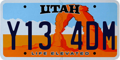 UT license plate Y134DM