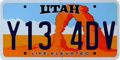 UT license plate Y134DV