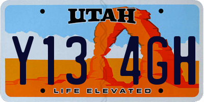 UT license plate Y134GH