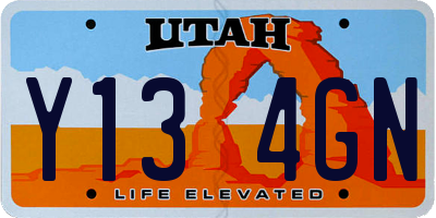 UT license plate Y134GN