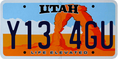 UT license plate Y134GU