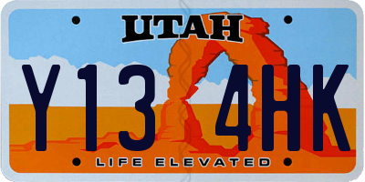 UT license plate Y134HK