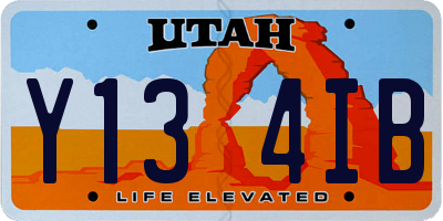UT license plate Y134IB