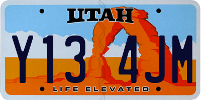 UT license plate Y134JM