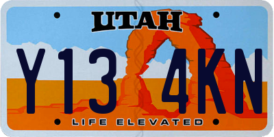 UT license plate Y134KN