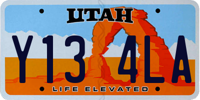 UT license plate Y134LA