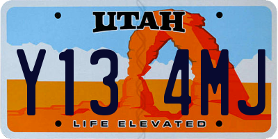 UT license plate Y134MJ
