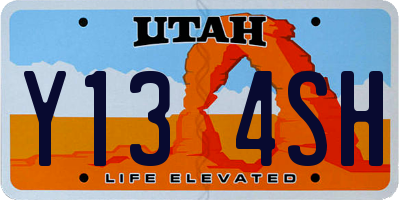 UT license plate Y134SH