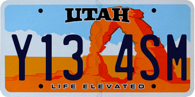 UT license plate Y134SM