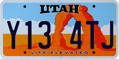 UT license plate Y134TJ