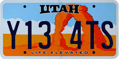 UT license plate Y134TS