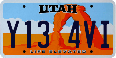 UT license plate Y134VI