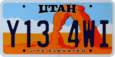 UT license plate Y134WI