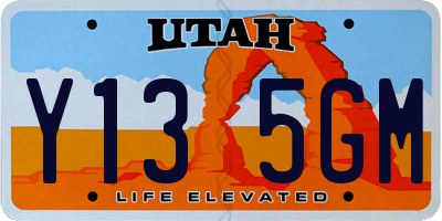 UT license plate Y135GM