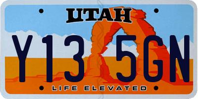 UT license plate Y135GN