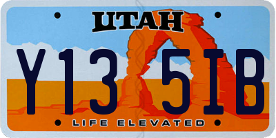 UT license plate Y135IB