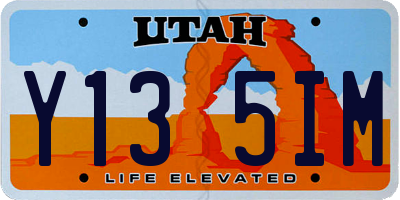 UT license plate Y135IM