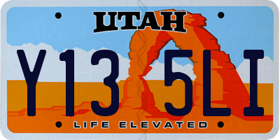 UT license plate Y135LI