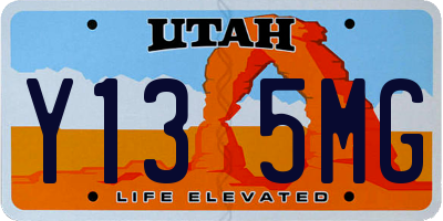 UT license plate Y135MG