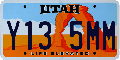 UT license plate Y135MM