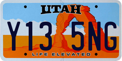 UT license plate Y135NG