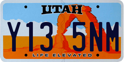 UT license plate Y135NM