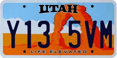 UT license plate Y135VM