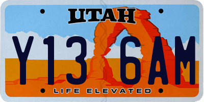 UT license plate Y136AM