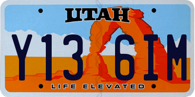UT license plate Y136IM