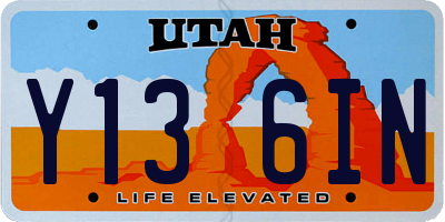 UT license plate Y136IN