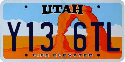 UT license plate Y136TL