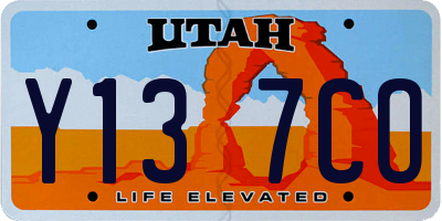 UT license plate Y137CO