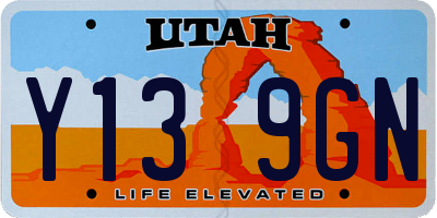 UT license plate Y139GN