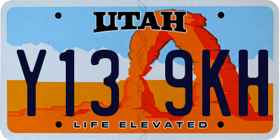 UT license plate Y139KH
