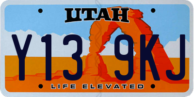 UT license plate Y139KJ