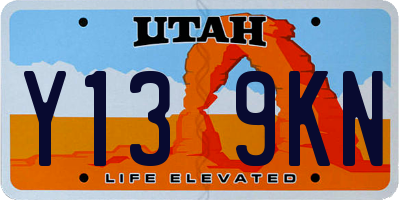UT license plate Y139KN