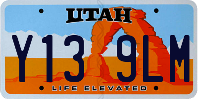UT license plate Y139LM