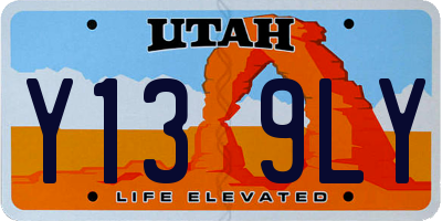 UT license plate Y139LY