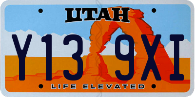 UT license plate Y139XI
