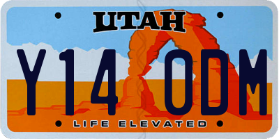 UT license plate Y140DM