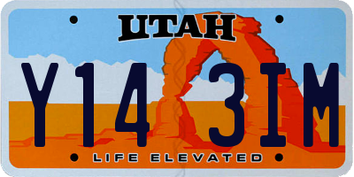 UT license plate Y143IM