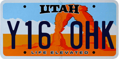UT license plate Y160HK