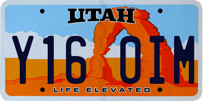 UT license plate Y160IM