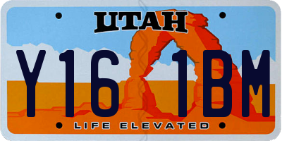 UT license plate Y161BM