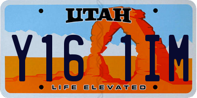 UT license plate Y161IM