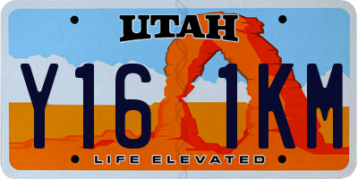 UT license plate Y161KM